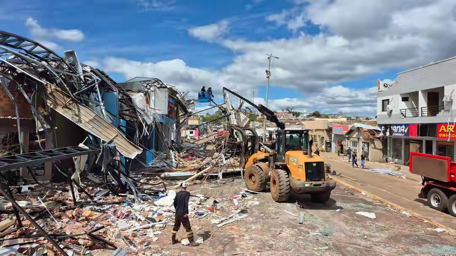 fluxograma-dengue - Apostas no Brasil