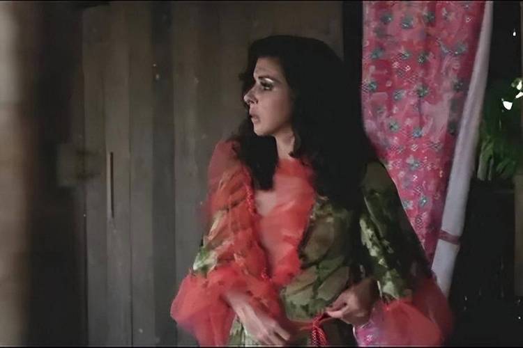 penicilina-fungo - Apostas no Brasil