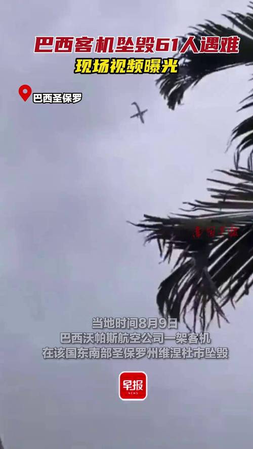 lion-bet - Tendências de apostas no Brasil